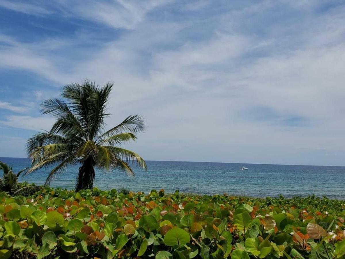 Beautiful Spacious And Luxury Delray Beach House! Near The Beach! エクステリア 写真